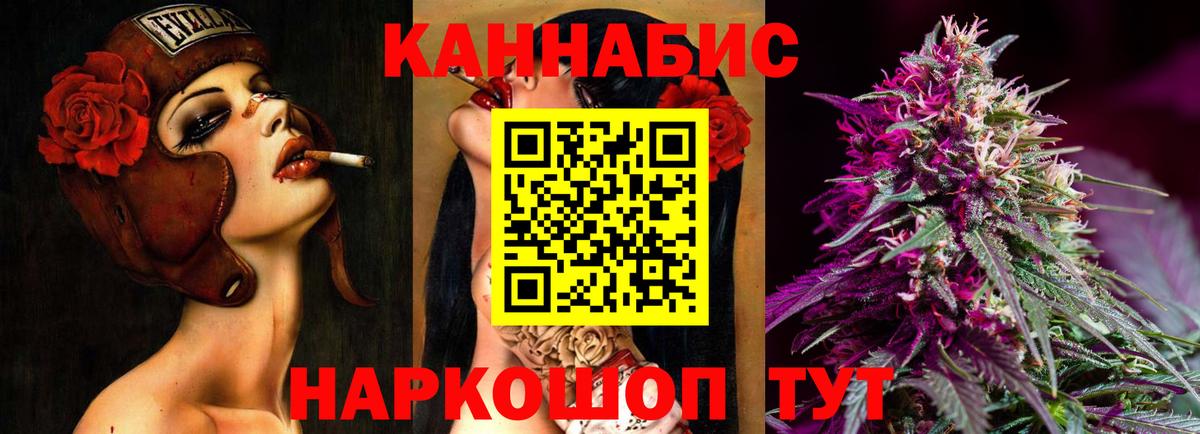 Бошки Шишки план Кировск